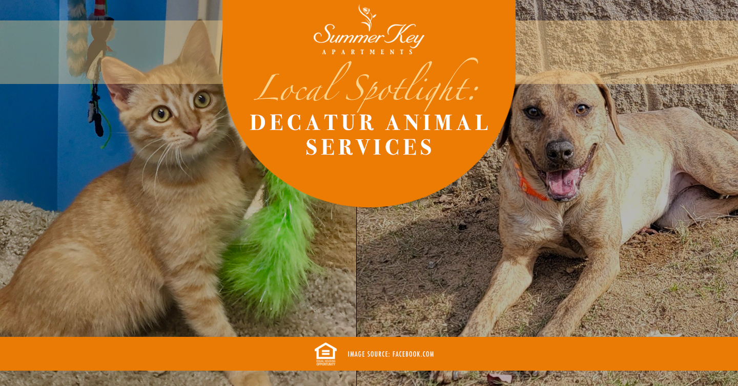 Decatur Animal Service