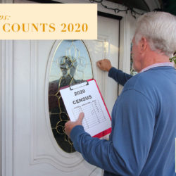 Decatur Counts 2020