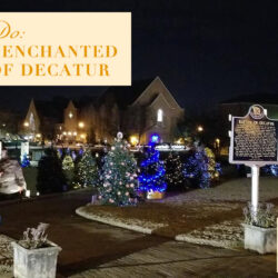 Visit the Enchanted Forest of Decatur
