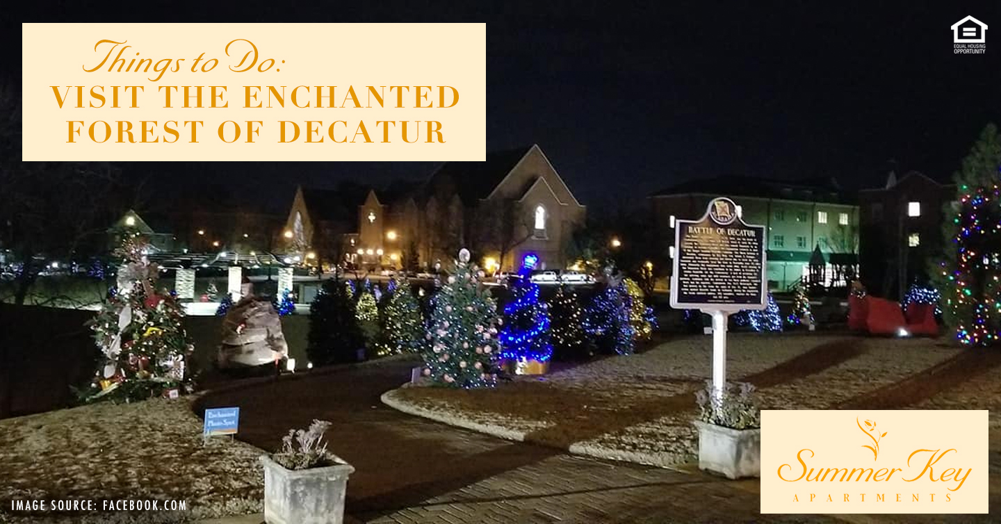 Visit the Enchanted Forest of Decatur
