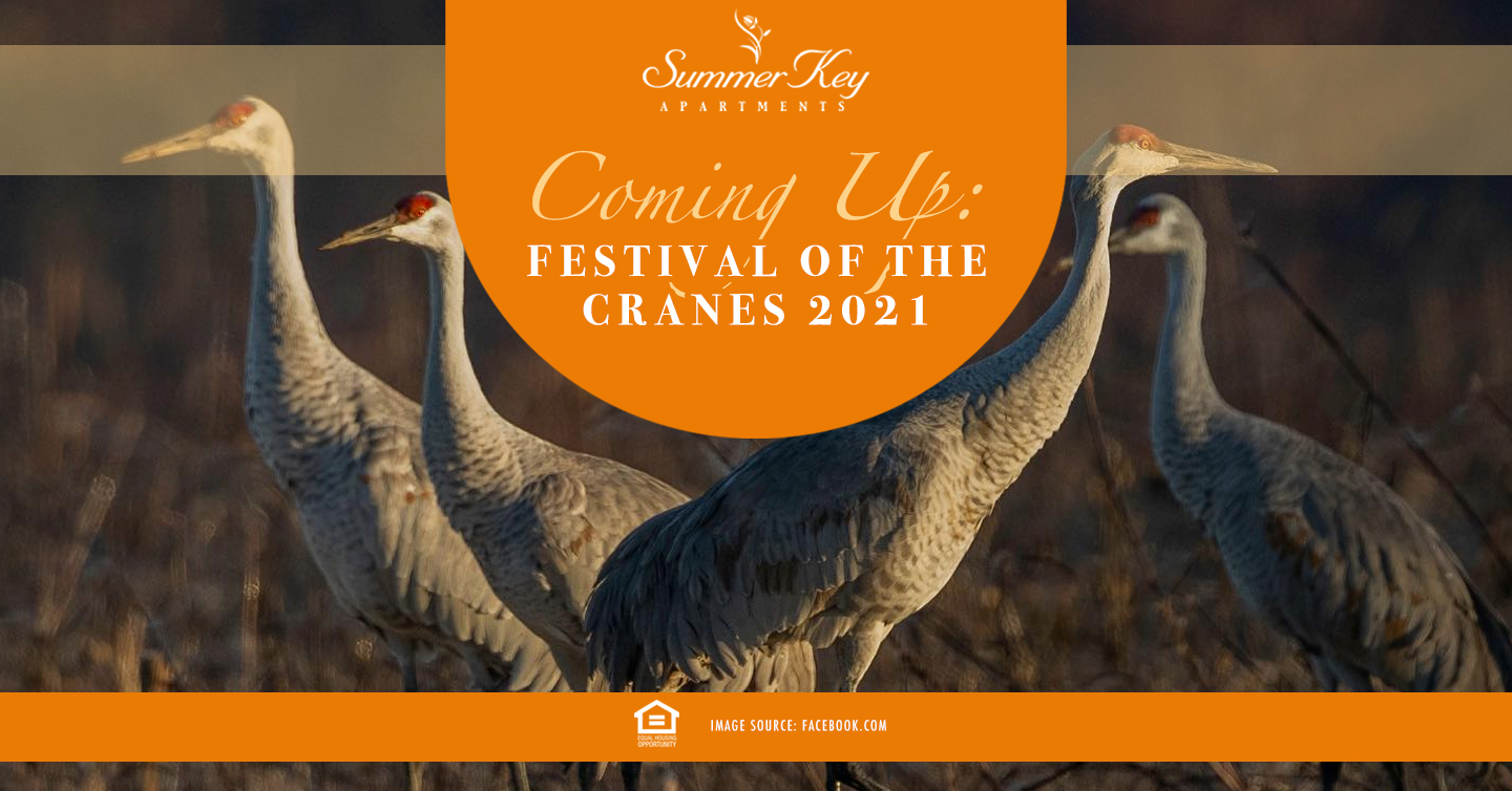 Festival of the Cranes 2021