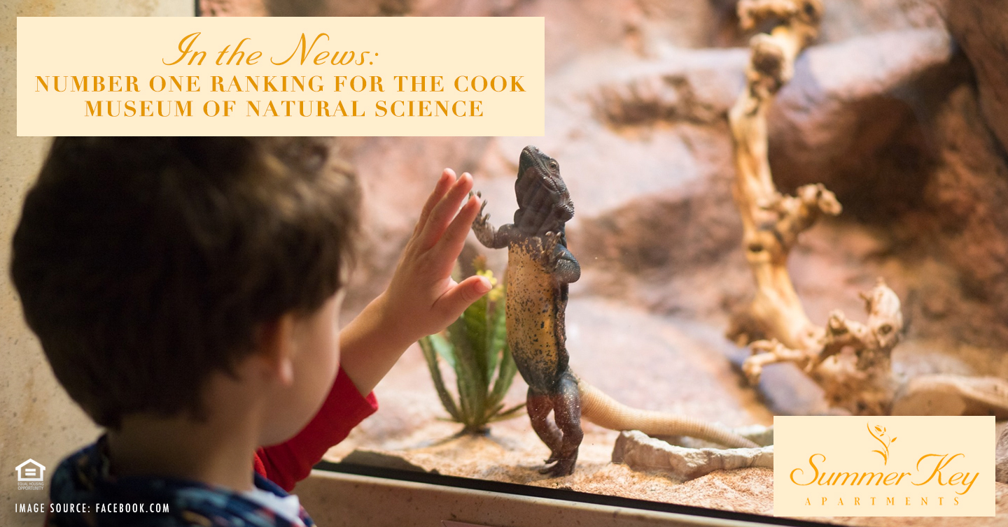 Number One Ranking for the Cook Museum of Natural Science