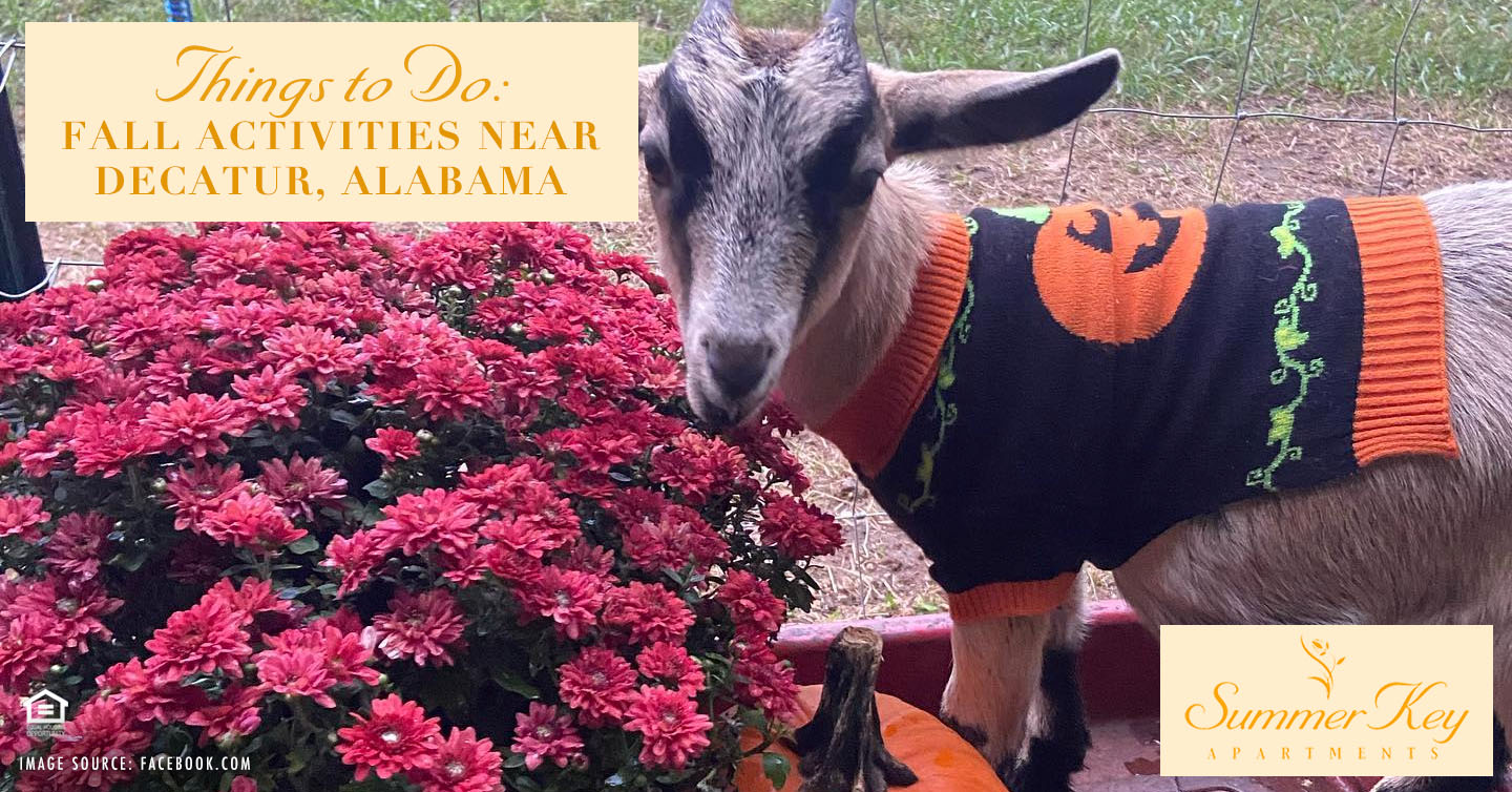 fall activities near Decatur Alabama