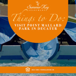 Point Mallard Park in Decatur